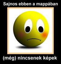 2014.10.18., Vőfély Sanyi, Sanyi, vőfélysanyi, vofelysanyi, Sanyi Vőfély, Vőfély Sándor, Sándor Vőfély, vőfély, vofely, vőfény, vőféj, násznagy, buli, lagzi, menyasszony, vőlegény, esküvő, lakodalom